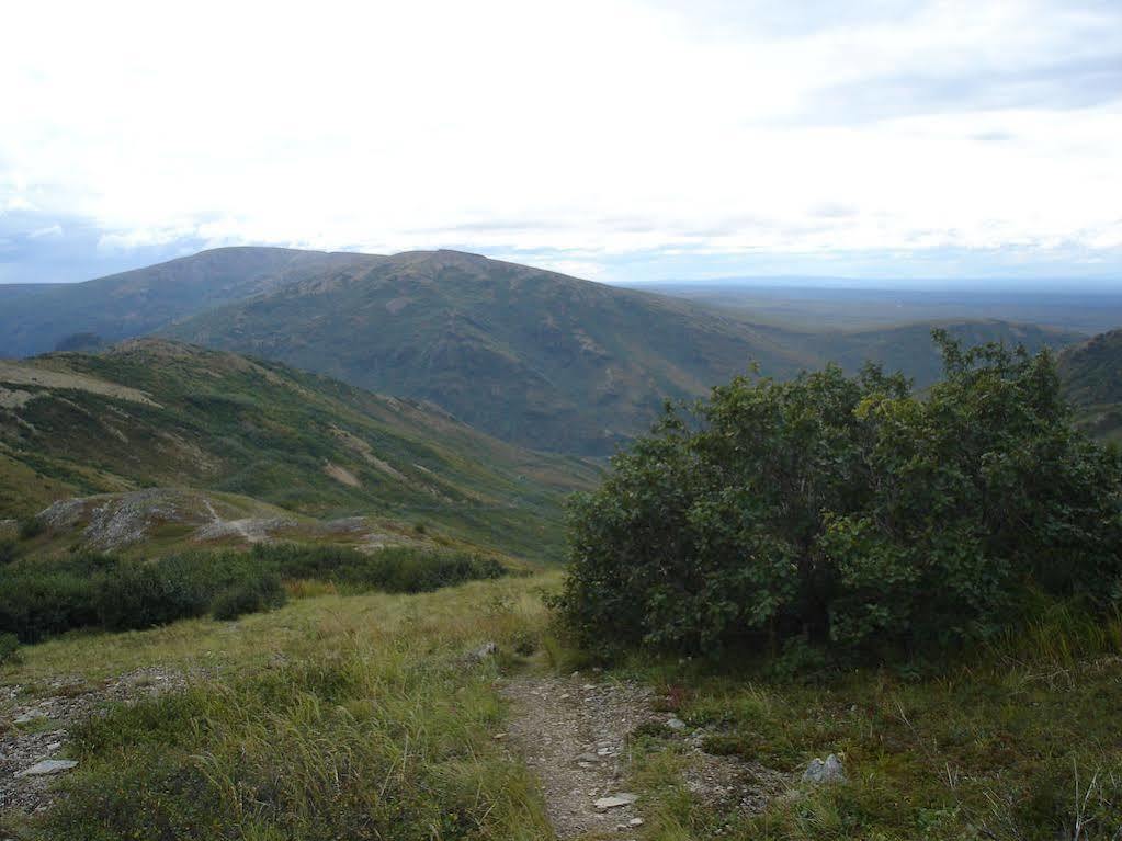 Denali Backcountry Lodge 外观 照片